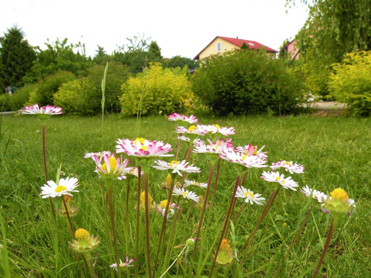 Domki Zabi Staw Mikołajki Exterior foto